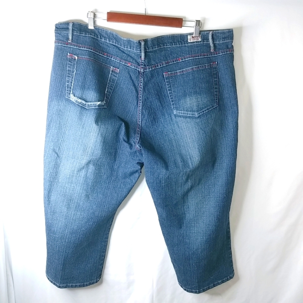 Neeso 24 Y2K 46x22 Jeans Long Shorts Plus